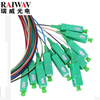 12 CORES BUNDLED SINGLE MODE FIBER OPTIC PIGTAILS COLOR CODED STRAND SC APC 0.9MM